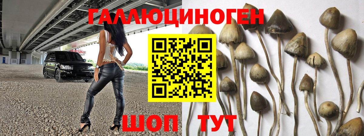 Галлюциногенные грибы ЛСД Верхняя Салда