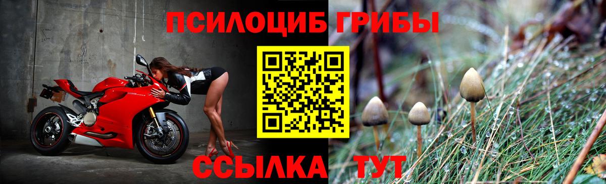 Галлюциногенные грибы Magic Shrooms  Псилоцибиновые грибы мицелий  Вход с VPN  купить наркоту  Верхняя Салда 
